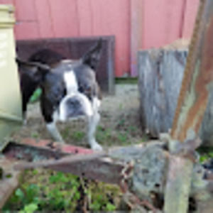 Meet your Posher, Elyse